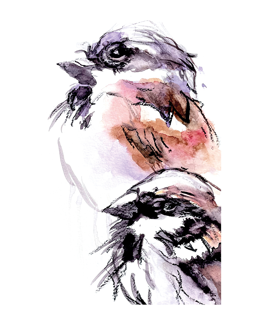 Mehr über den Artikel erfahren 23.1 – Freies Mal- und Zeichnenatelier I für Jugendliche und Erwachsene (Kurs 23.1 im Programmheft 2025/2026)