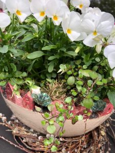 Kurs 16 Der Frühling naht - Pflanzgefäße und Dekoobjekte für Haus und Garten